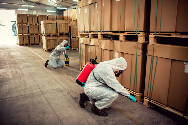 Best Best Pest Control Companies  in North Falmouth, MA