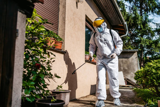 Best Rodent Control Near Me  in North Falmouth, MA