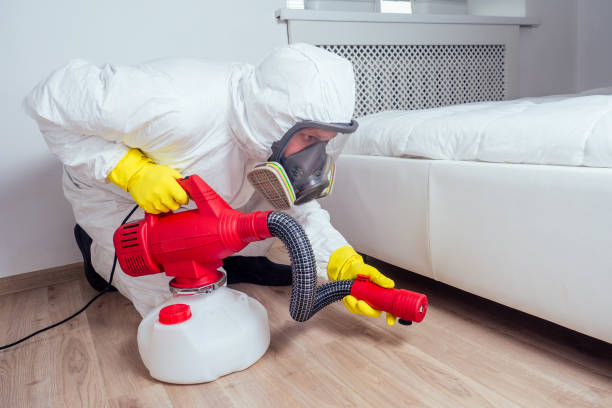 Trusted North Falmouth, MA Pest Control Experts