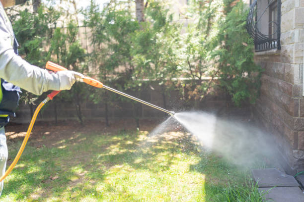Wildlife Control Services in North Falmouth, MA