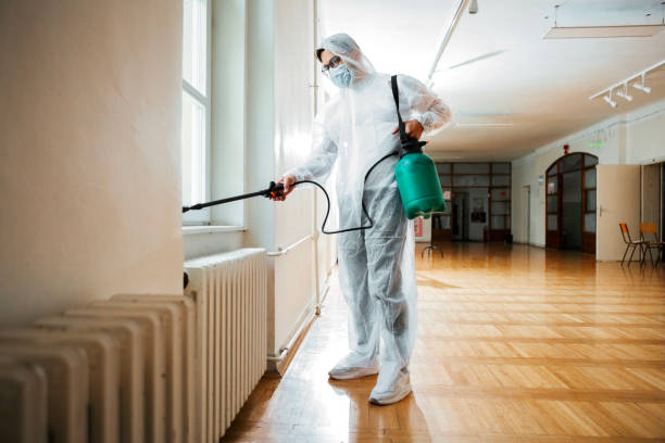 Best Pest Removal Services  in North Falmouth, MA